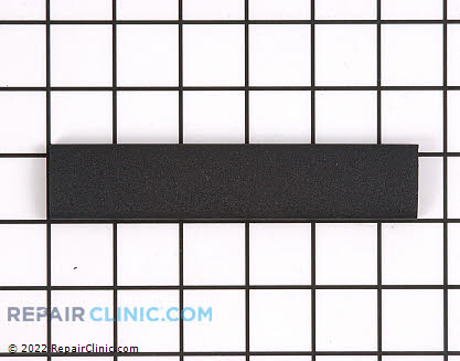 Handle Trim (OEM)  2169902