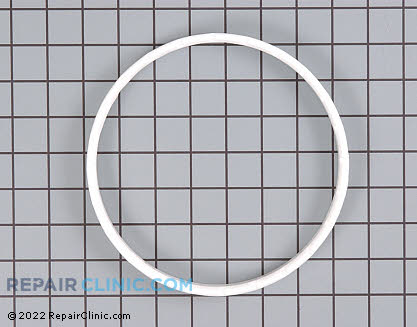 Snubber Ring 40037401 Main Product View