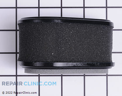 Air Cleaner, Kawasaki Genuine OEM  11029-2010