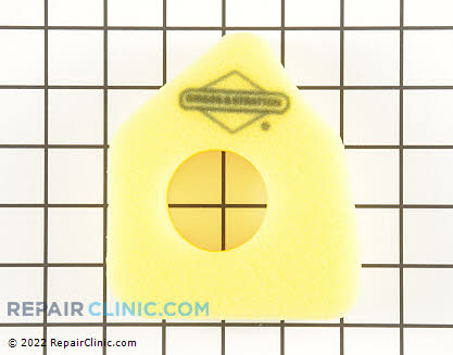 Air Cleaner, Briggs & Stratton Genuine OEM  794071, 1604833