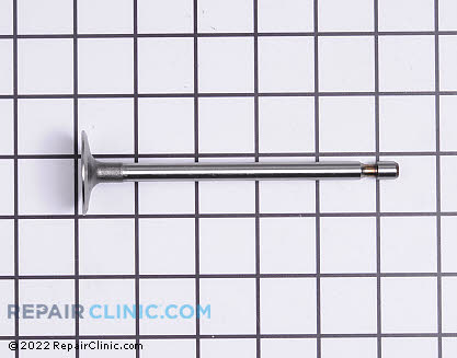 Intake Valve 262247S Main Product View