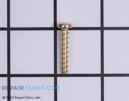 Screw 2031003 Main Product View