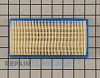 Air Cleaner 491384          Alternate Product View