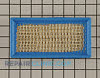 Air Cleaner 491384          Alternate Product View