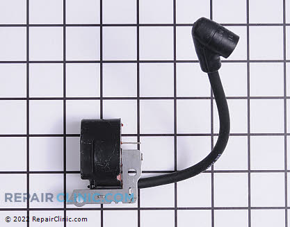 Ignition Coil 699875 Main Product View