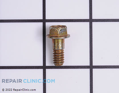 Flange Bolt 691688 Main Product View