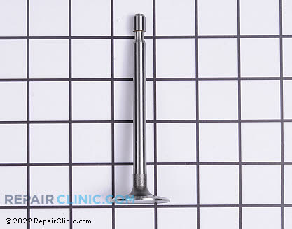 Intake Valve 691804 Main Product View
