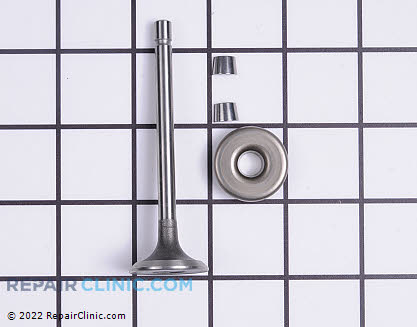 Exhaust Valve, Briggs & Stratton Genuine OEM  807681