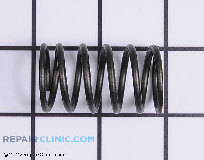 Valve Spring 691605 Main Product View
