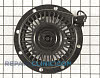 Recoil Starter 590789          Alternate Product View
