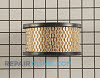 Air Cleaner 31925 Alternate Product View