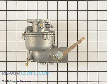 Carburetor, Briggs & Stratton Genuine OEM  391889