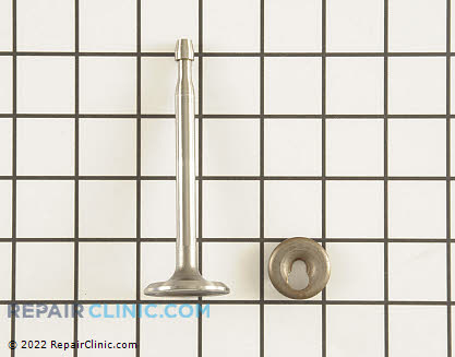 Intake Valve 34035 Main Product View