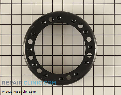 Bracket (Genuine OEM)  174493