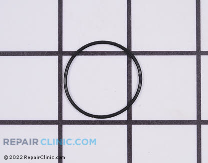 O-Ring 318337101 Main Product View