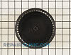 Blower Wheel S99020276       Alternate Product View