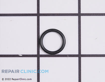 O-Ring (Genuine OEM)  6.362-169.0