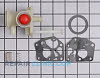 Carburetor 798758          Alternate Product View