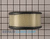 Air Cleaner 392286          Alternate Product View