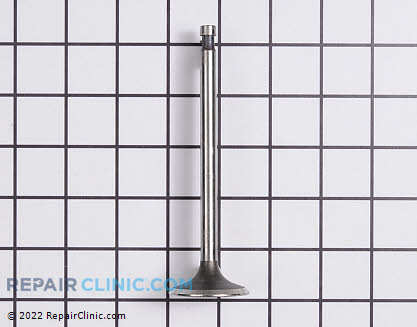 Intake Valve 12004-2076 Main Product View
