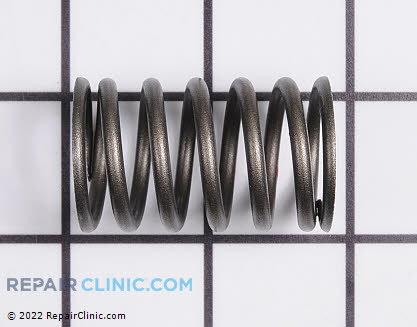 Valve Spring 49078-2058 Main Product View