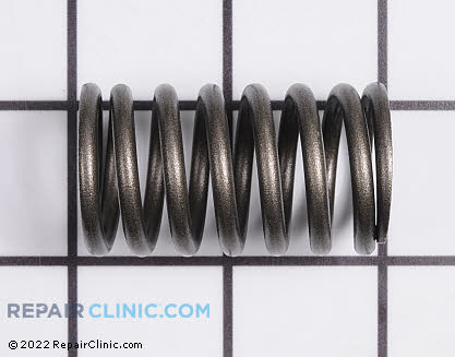 Valve Spring 49078-2059 Main Product View