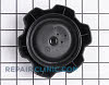Gas Cap 21547354 Alternate Product View