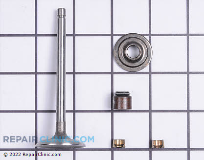 Intake Valve, Briggs & Stratton Genuine OEM  795199