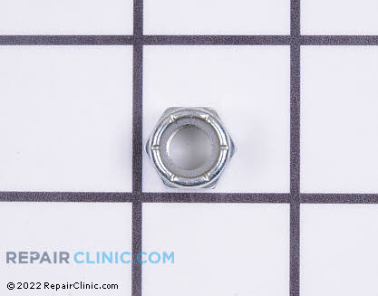 Nut 21546784 Main Product View