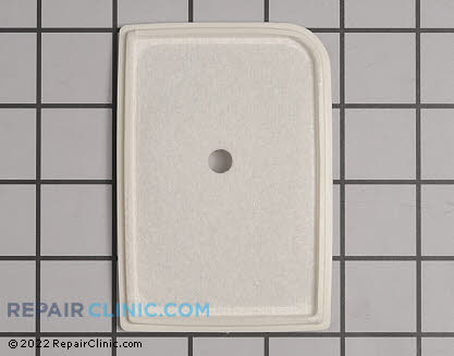 Air Filter (Genuine OEM)  13031003360