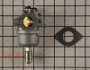Carburetor 794294          Alternate Product View