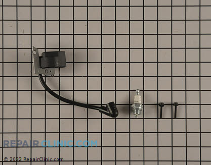 Ignition Module 308284001 Main Product View