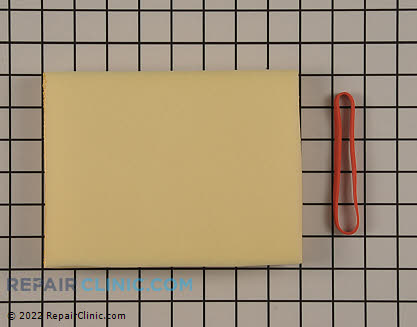 Eureka Foam Filter