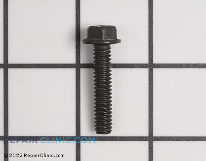 Nut 983379078 Main Product View