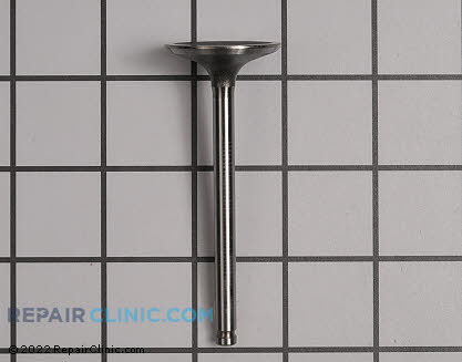 Intake Valve 12004-7002 Main Product View