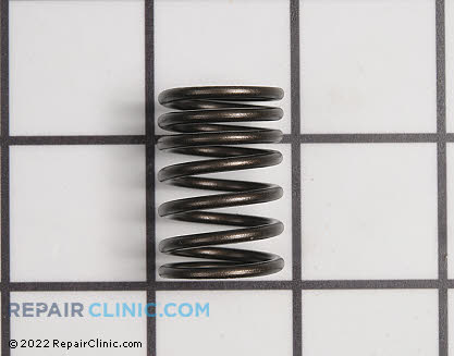 Valve Spring 690520 Main Product View