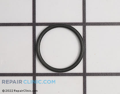 O-Ring (Genuine OEM)  9.081-417.0
