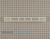 Vent Grille - Part # 1553996 Mfg Part # 318027517