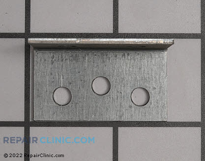 Bracket (OEM)  318399310