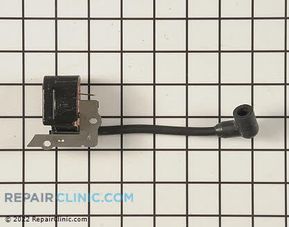 Ignition Module 530039218 Main Product View