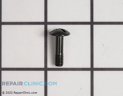 Screw 6689737 Main Product View