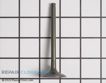 Intake Valve 12004-7009 Main Product View