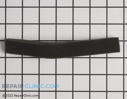 Foam Filter GM248202 Main Product View