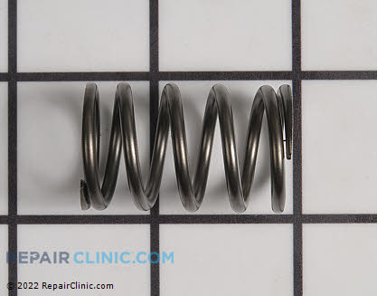 Valve Spring 49078-7002 Main Product View