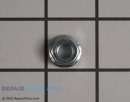 Nut 67989GS Main Product View