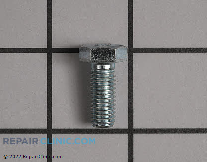 Screw 39253GS Main Product View