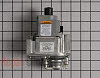 Gas Valve Assembly 85K35 Alternate Product View