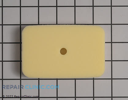 Air Filter (Genuine OEM)  13031003460