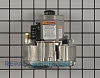 Gas Valve Assembly 41K35 Alternate Product View
