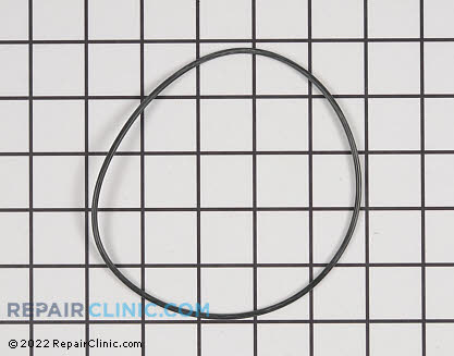O-Ring 93790GS Main Product View